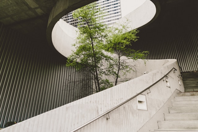 Change management and csrd expressed by staires and tree